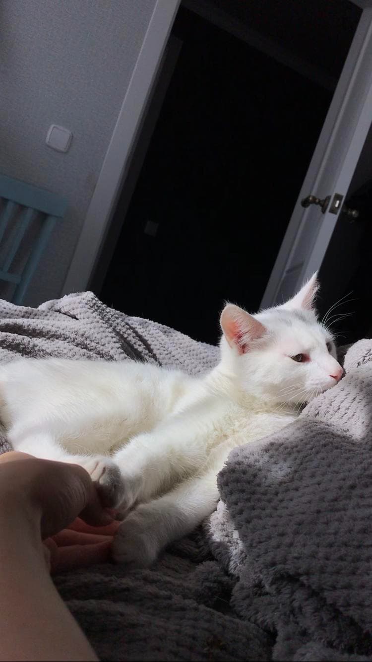 carousel-image-mobile-4