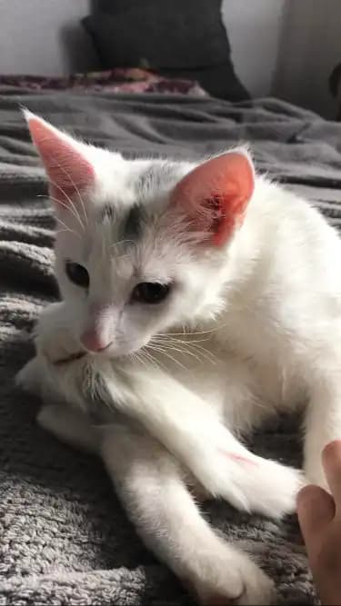 carousel-image-mobile-5