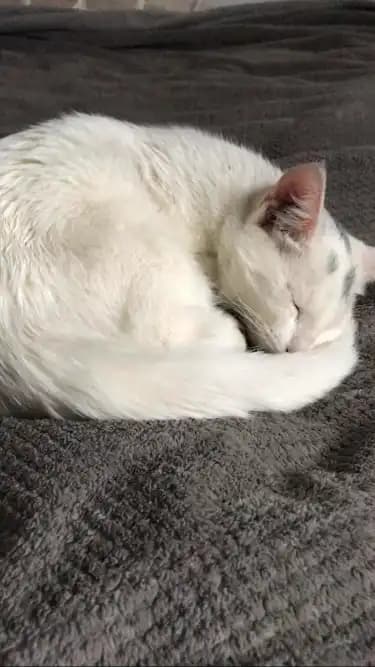 carousel-image-mobile-6