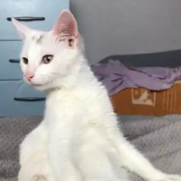 carousel-image-mobile-7