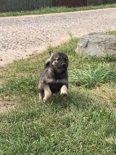 carousel-image-mobile-1