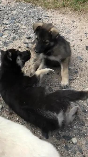 carousel-image-mobile-2