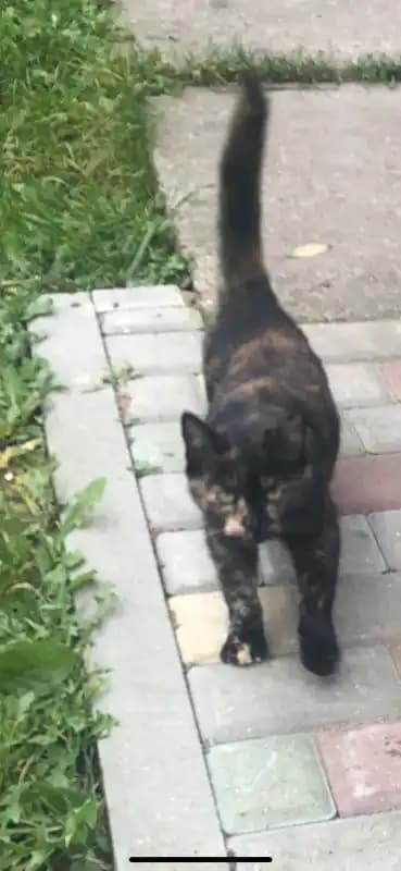 carousel-image-mobile-1