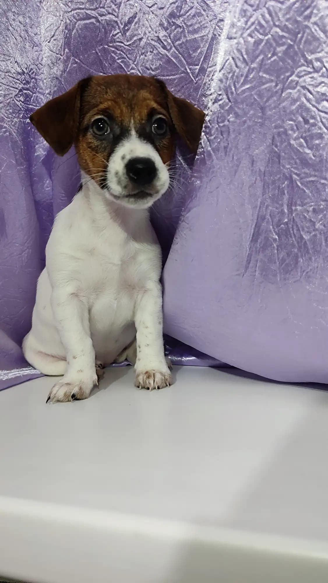 carousel-image-mobile-1