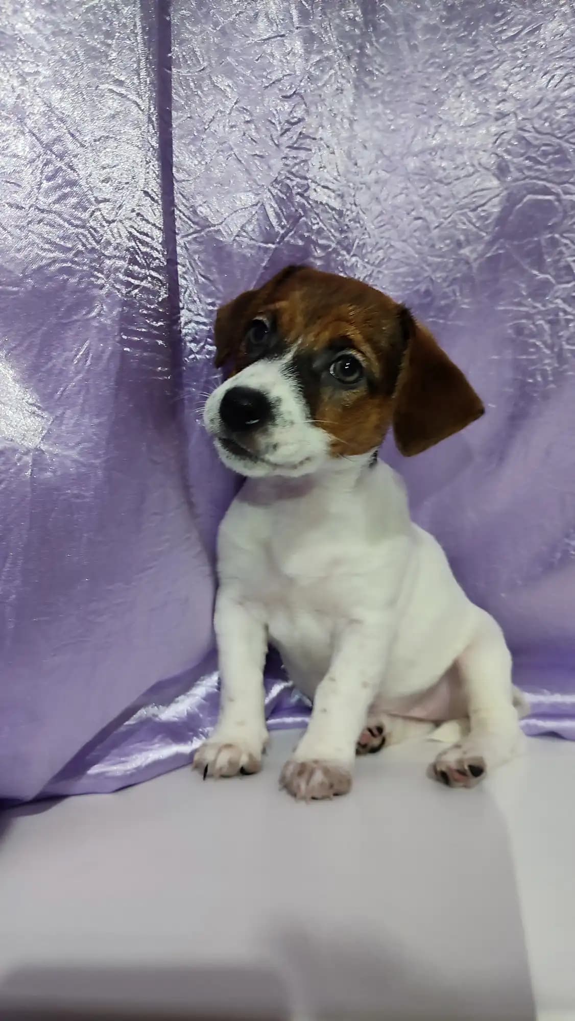 carousel-image-mobile-2