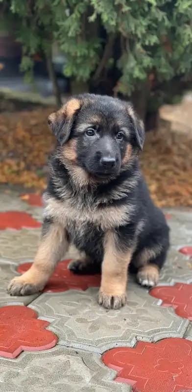 carousel-image-mobile-1