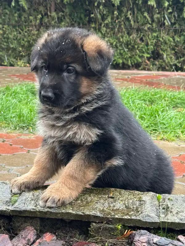 carousel-image-mobile-2