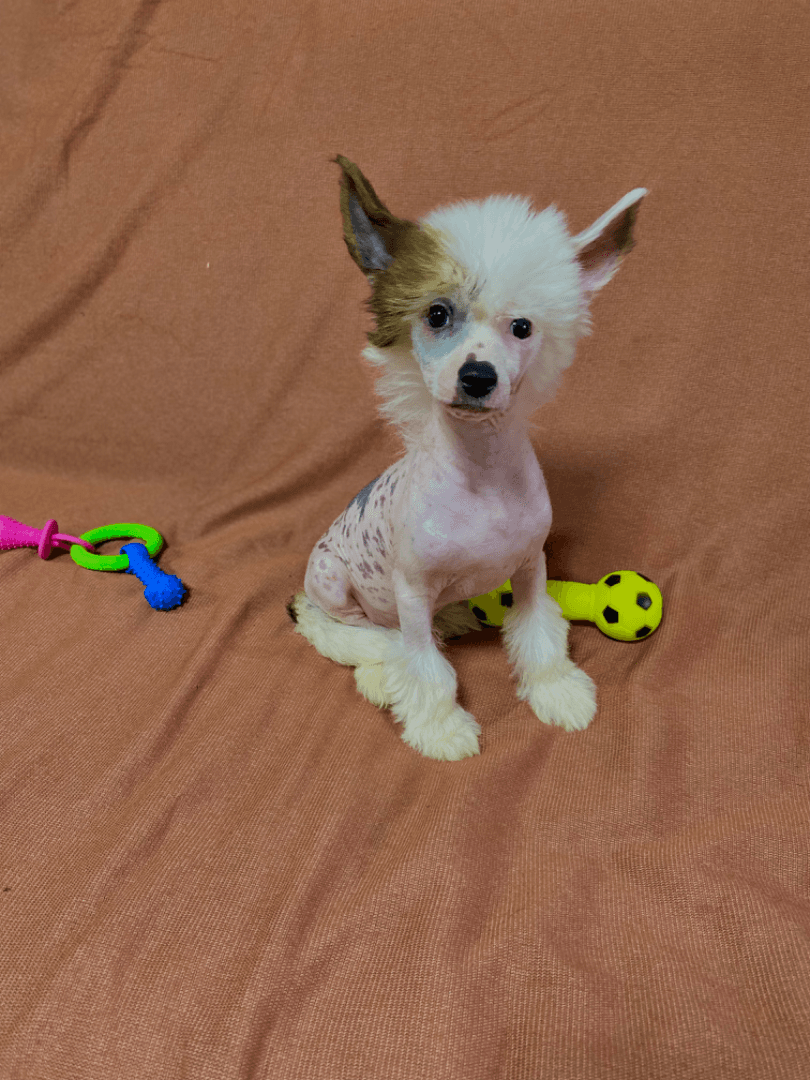 carousel-image-mobile-1