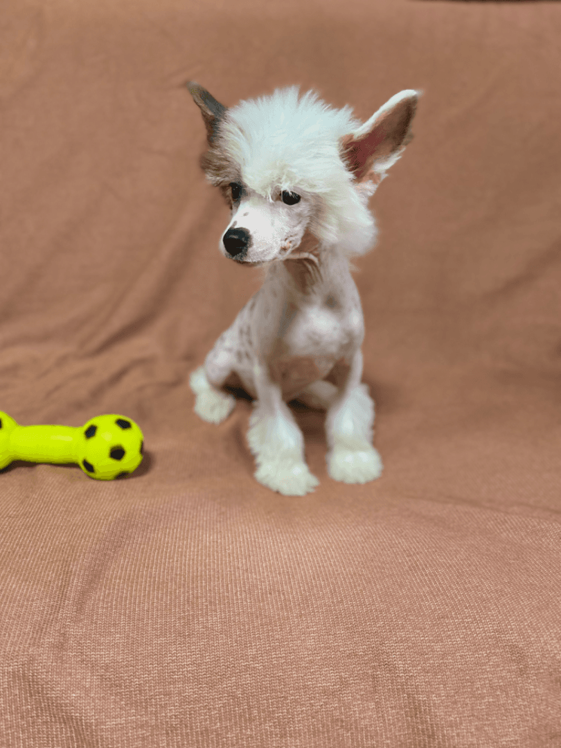 carousel-image-mobile-3