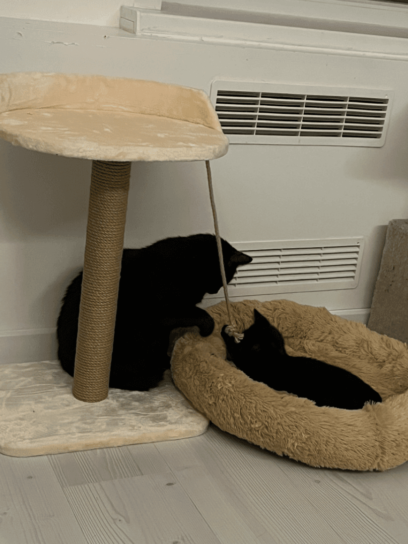 carousel-image-mobile-1