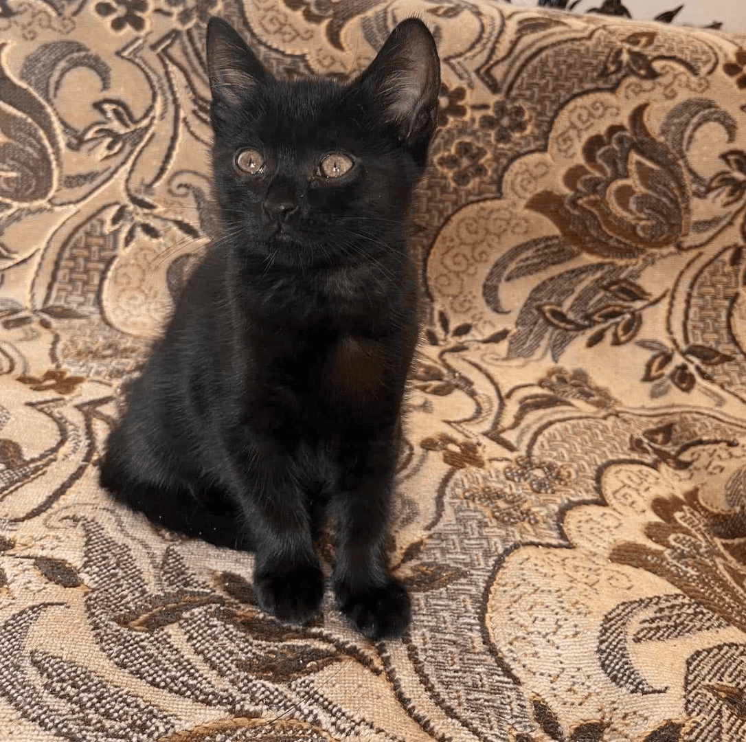 carousel-image-mobile-2