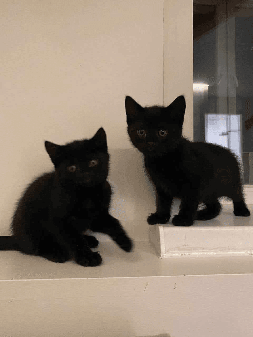 carousel-image-mobile-3