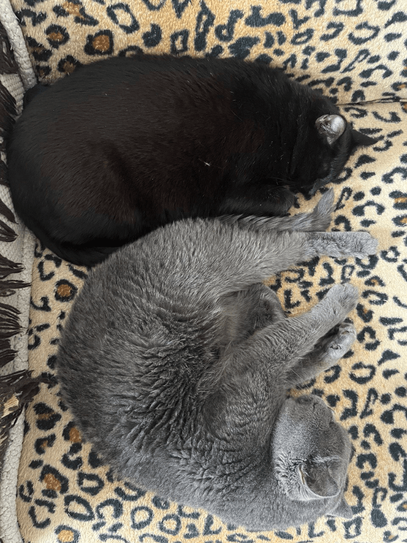 carousel-image-mobile-4