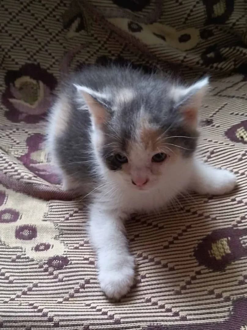 carousel-image-mobile-1