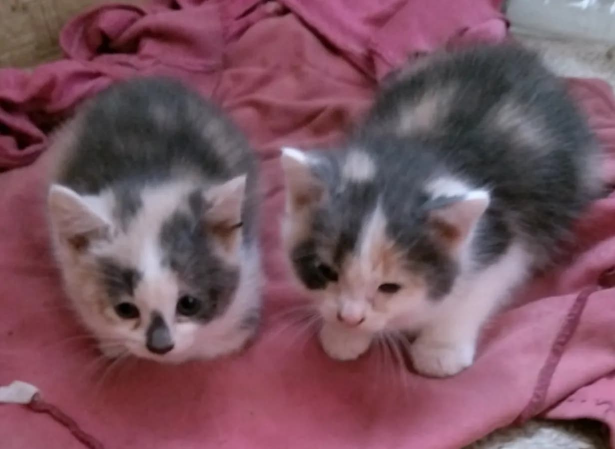 carousel-image-mobile-2