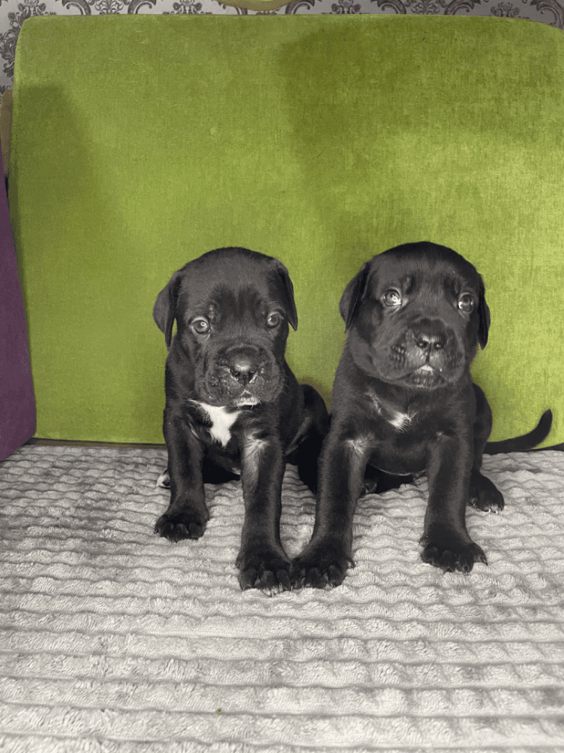 carousel-image-mobile-1