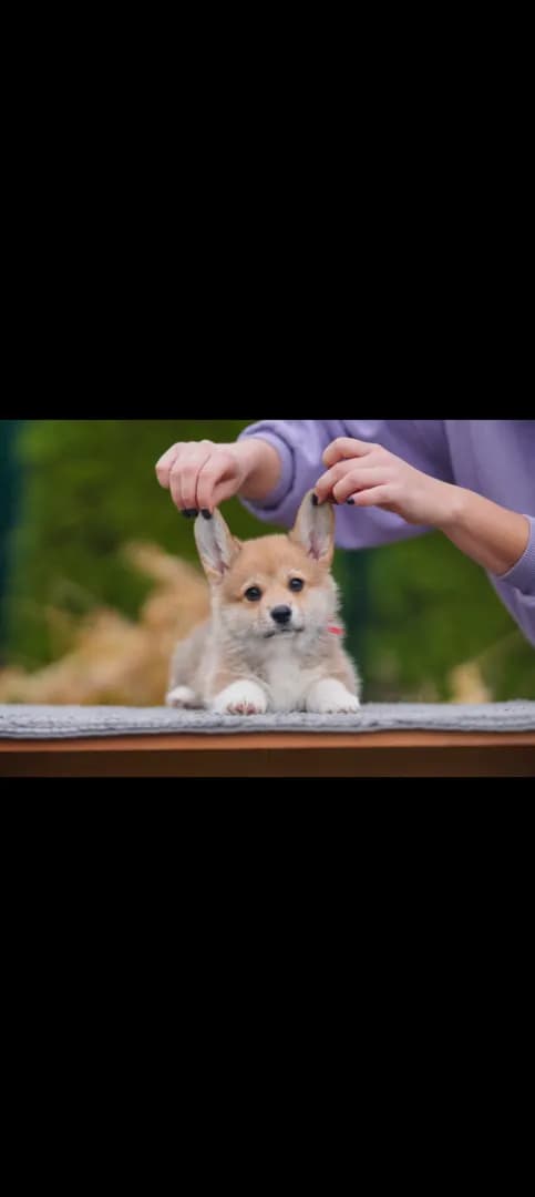 carousel-image-mobile-3