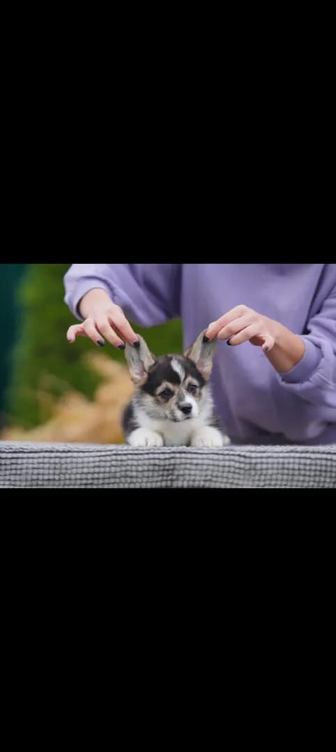 carousel-image-mobile-4