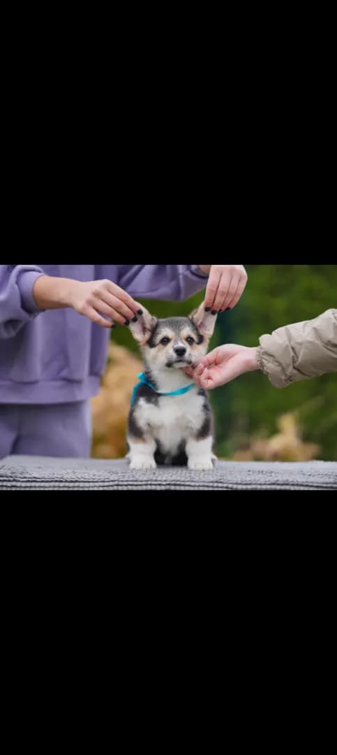 carousel-image-mobile-6