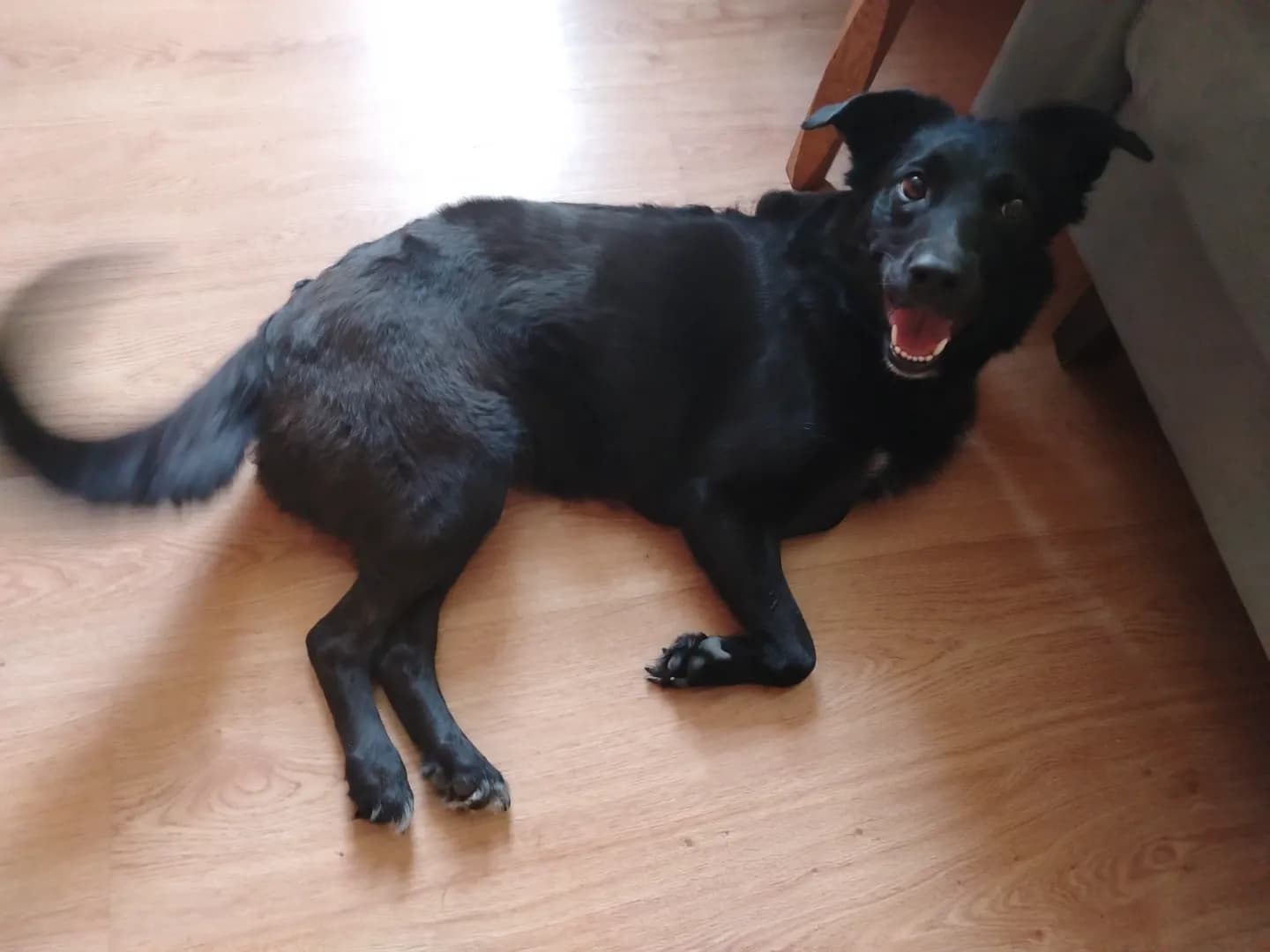 carousel-image-mobile-1