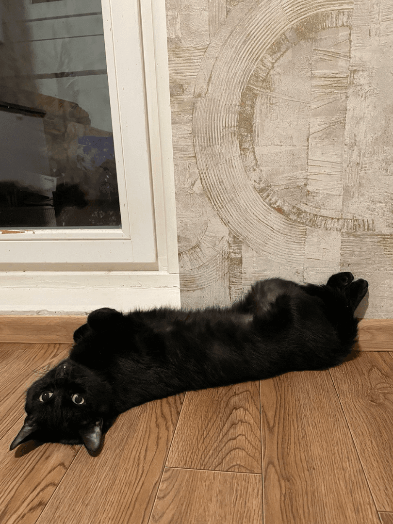 carousel-image-mobile-2