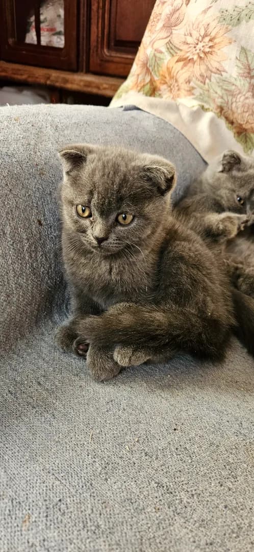 carousel-image-mobile-2