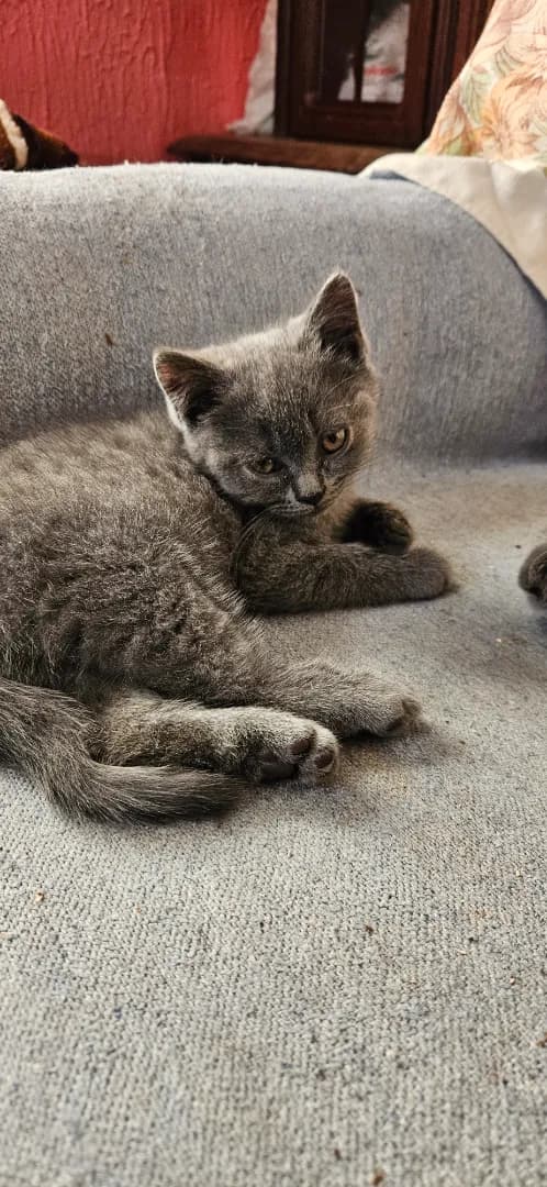 carousel-image-mobile-4