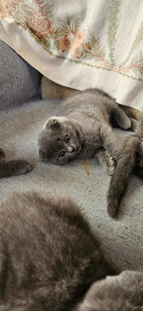 carousel-image-mobile-7