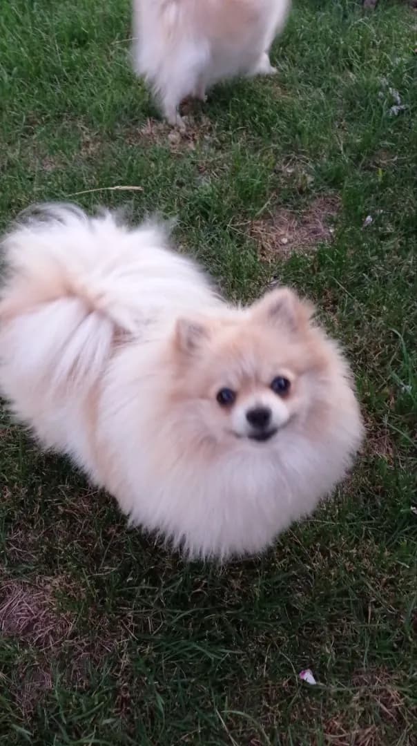 carousel-image-mobile-1