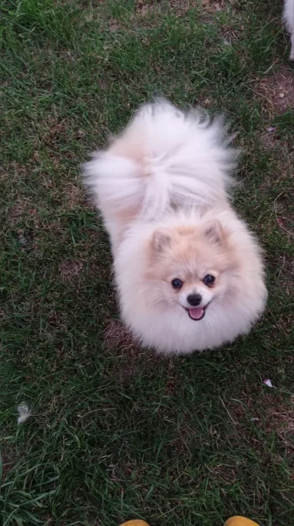 carousel-image-mobile-2