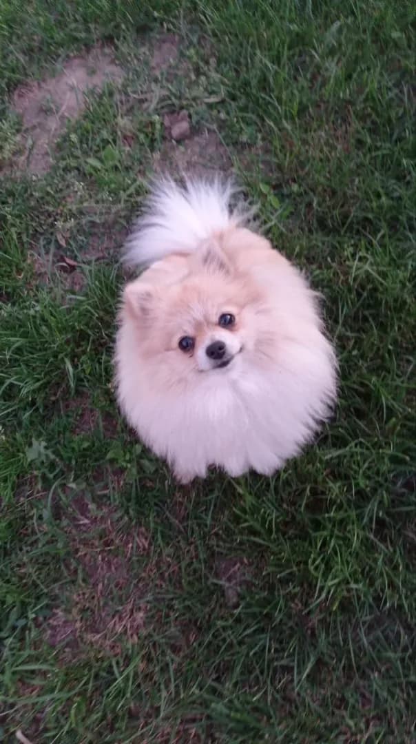 carousel-image-mobile-3