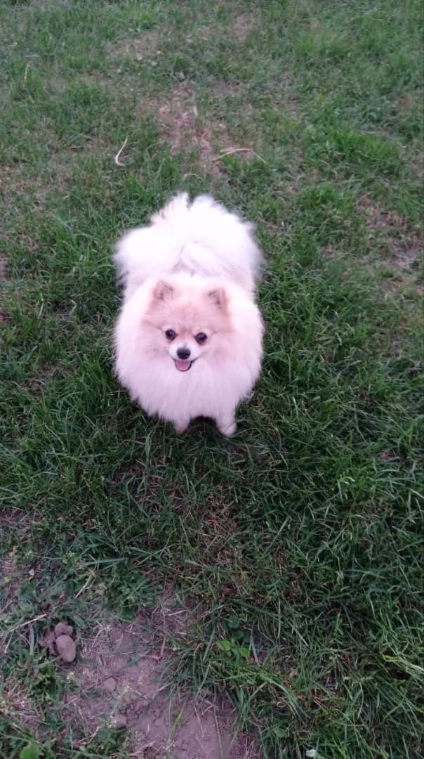 carousel-image-mobile-4