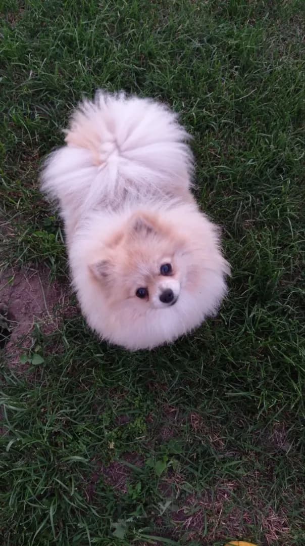 carousel-image-mobile-5