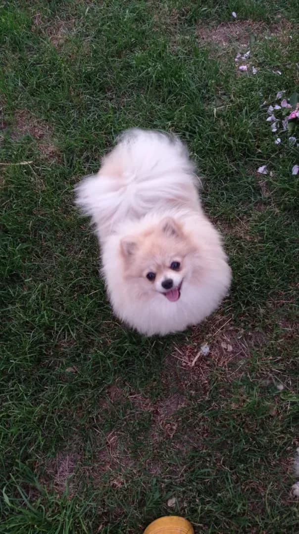 carousel-image-mobile-6