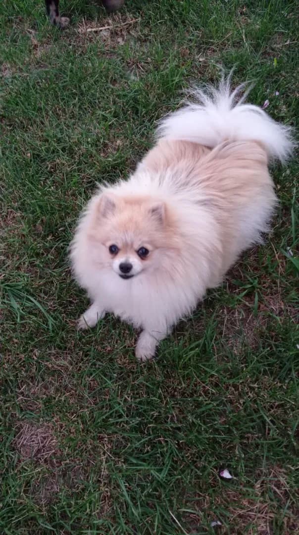 carousel-image-mobile-8