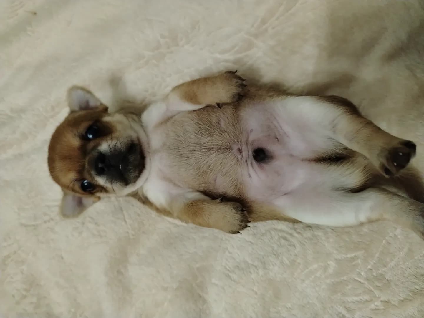 carousel-image-mobile-1