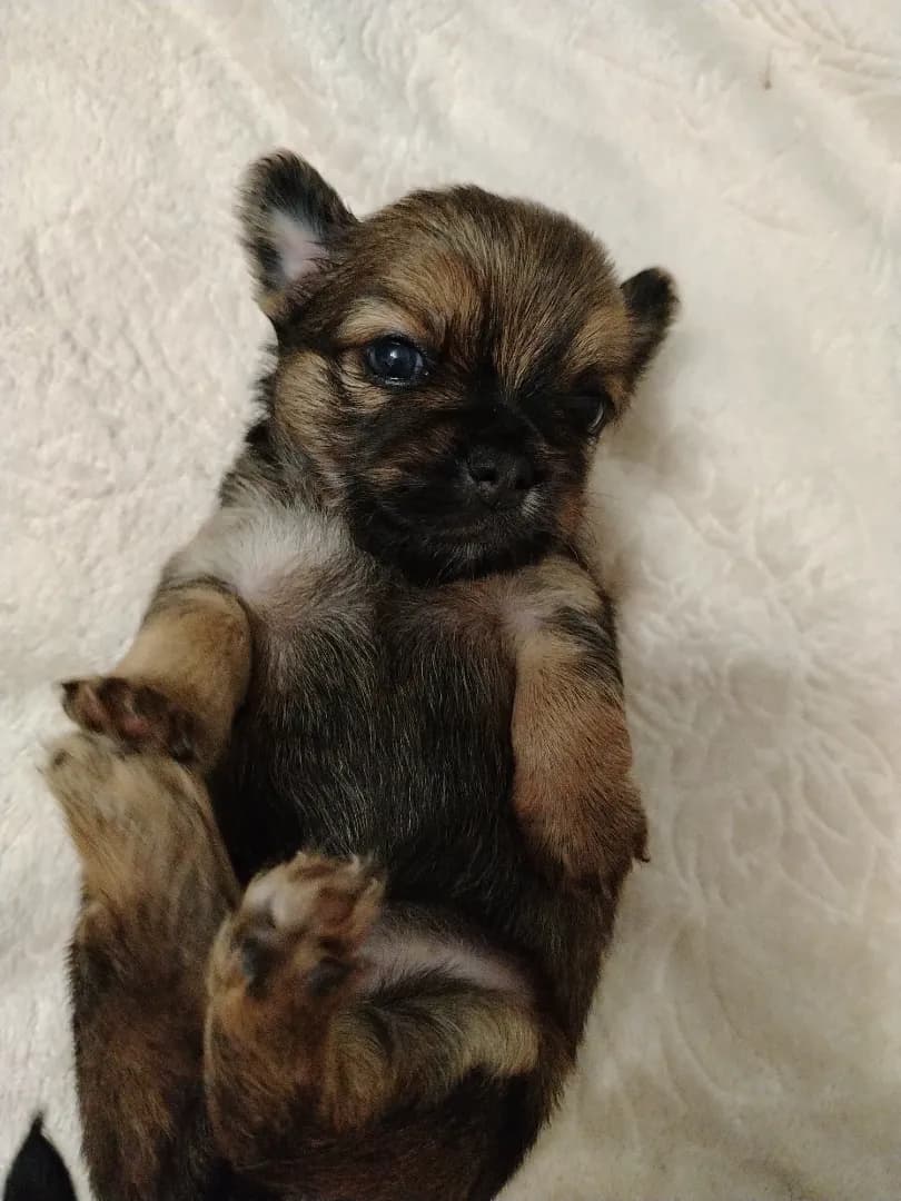 carousel-image-mobile-2