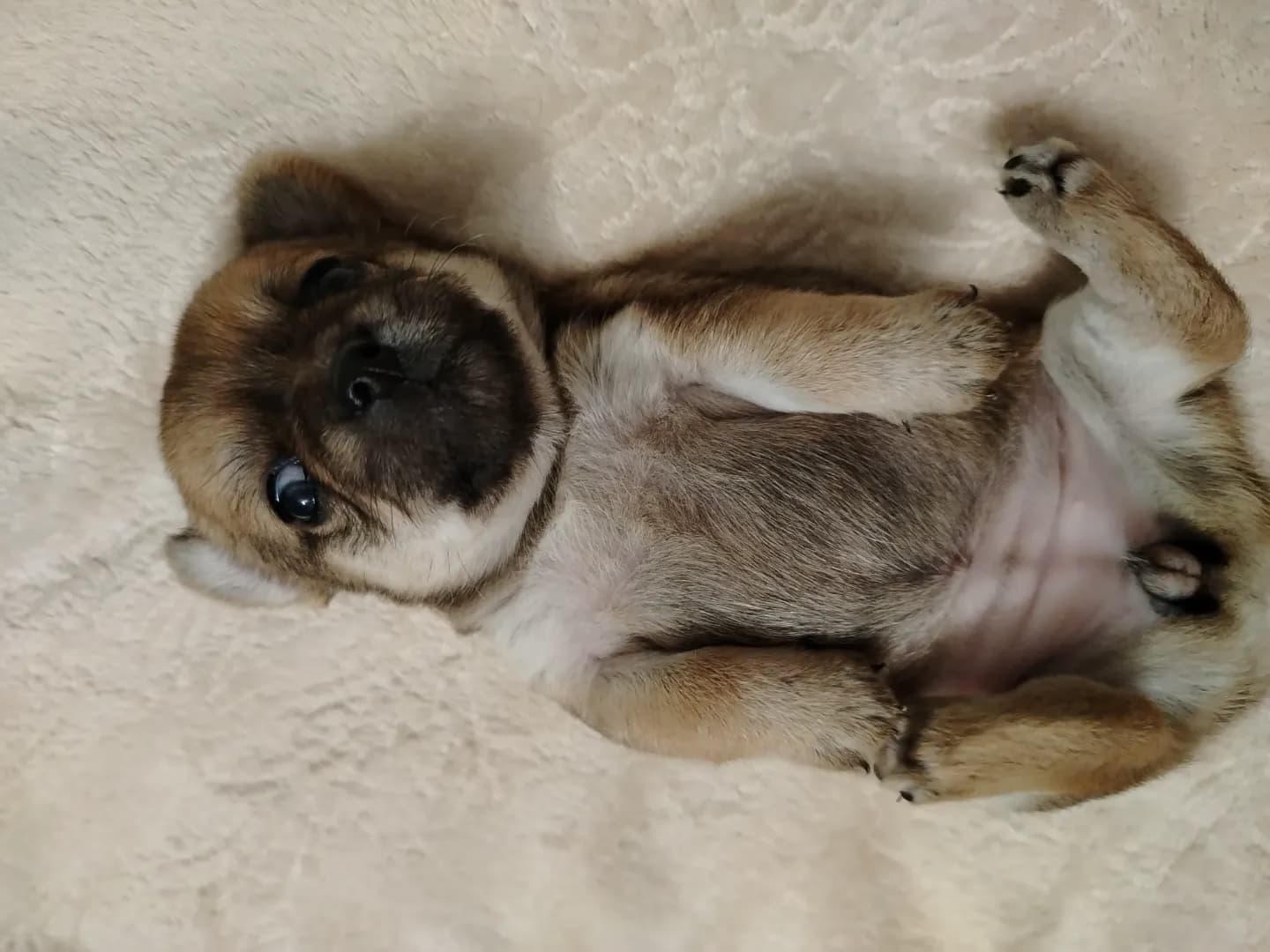 carousel-image-mobile-3