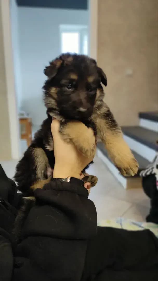 carousel-image-mobile-1