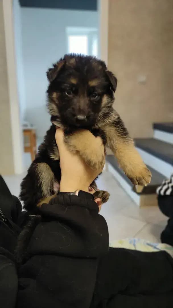 carousel-image-mobile-2