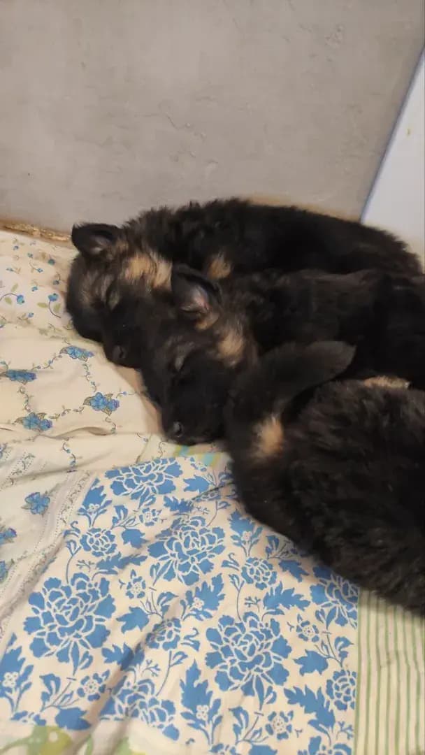 carousel-image-mobile-3