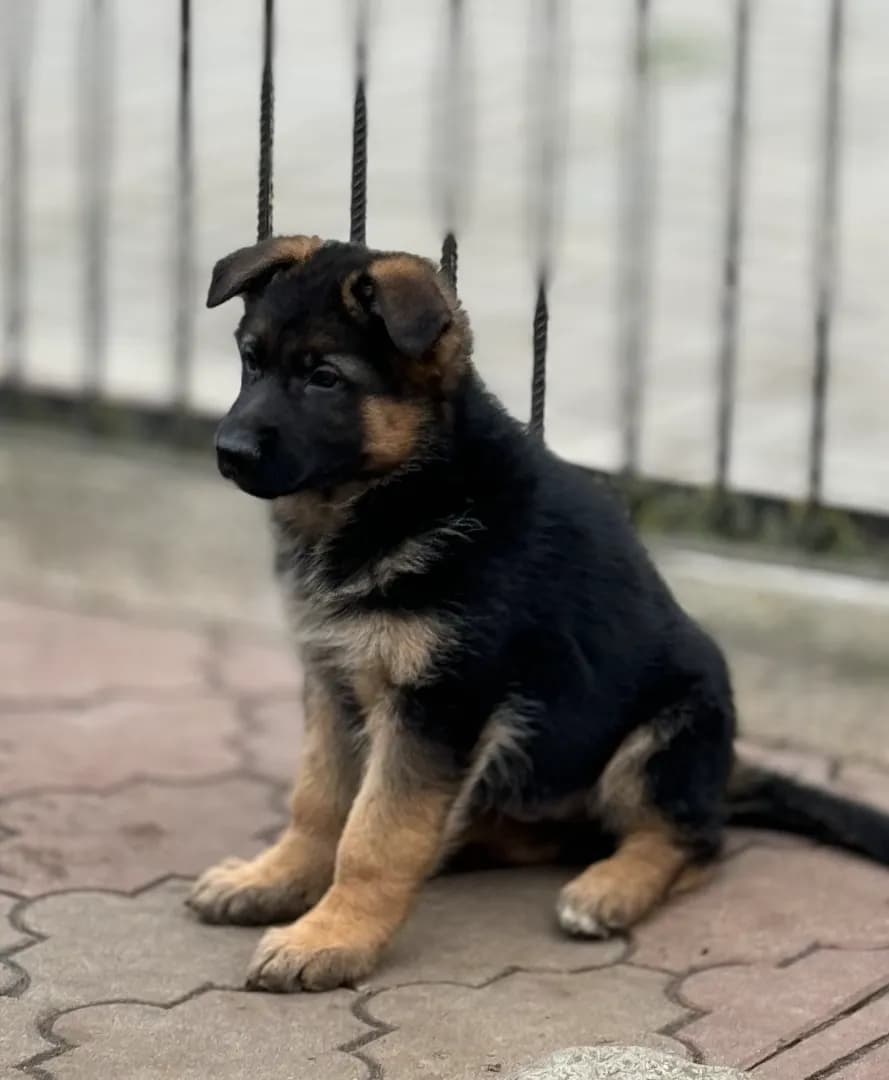 carousel-image-mobile-1