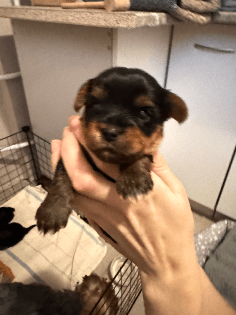 carousel-image-mobile-1