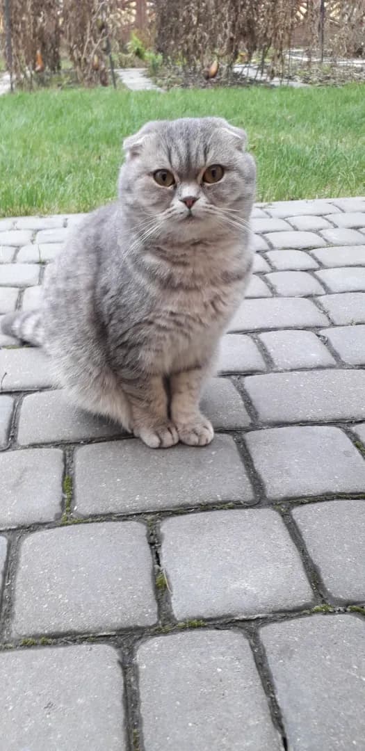 carousel-image-mobile-1