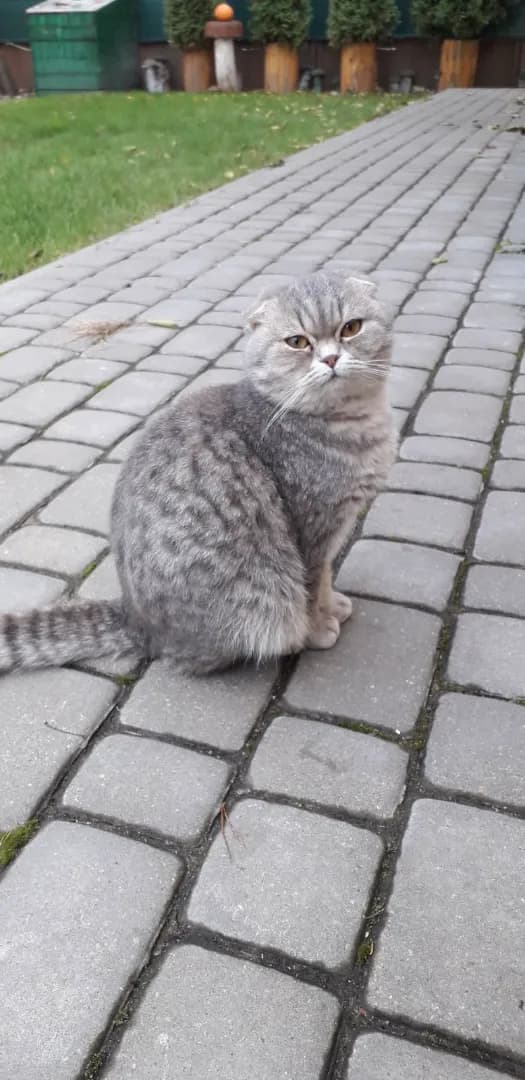 carousel-image-mobile-2