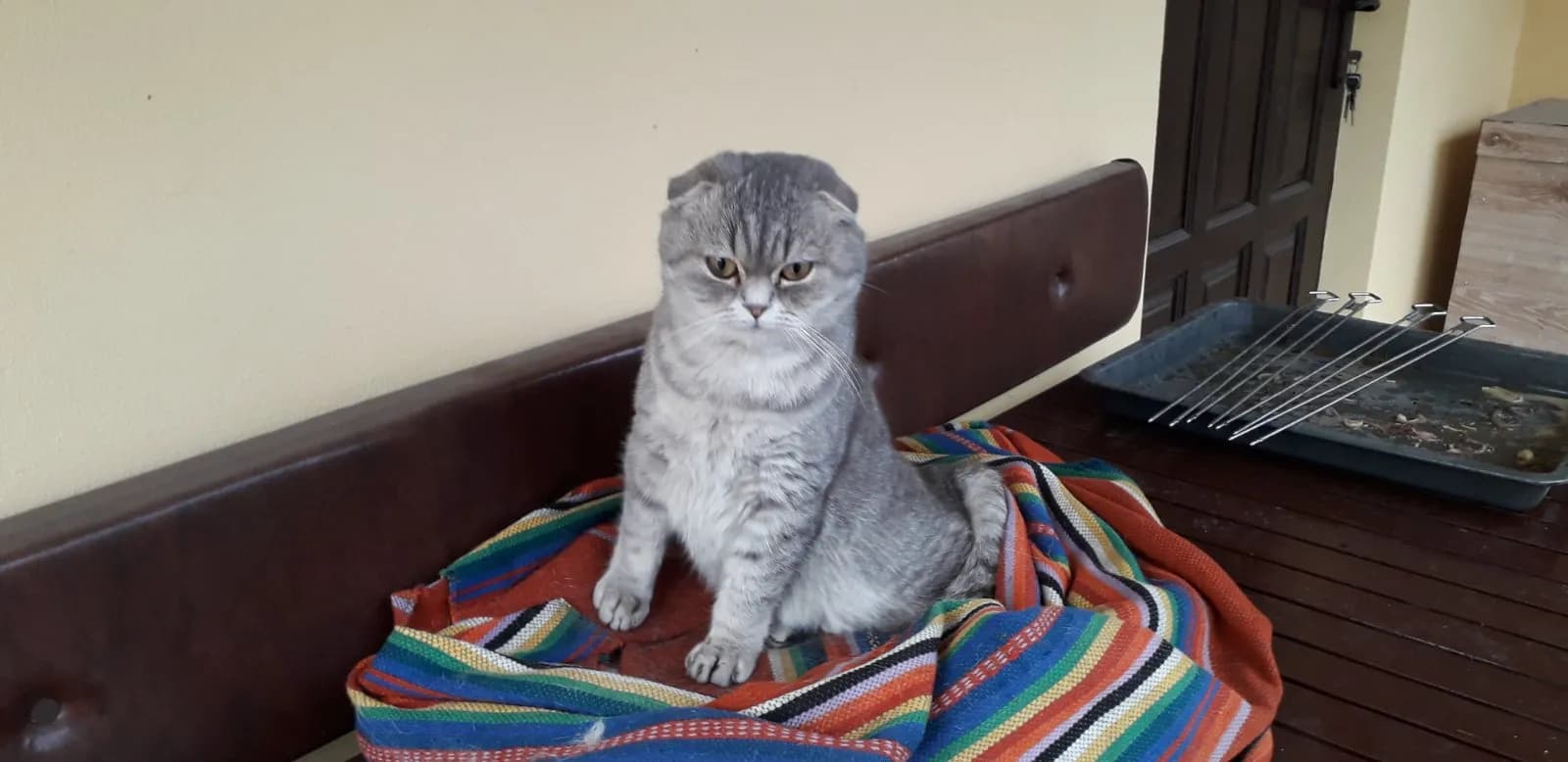 carousel-image-mobile-3