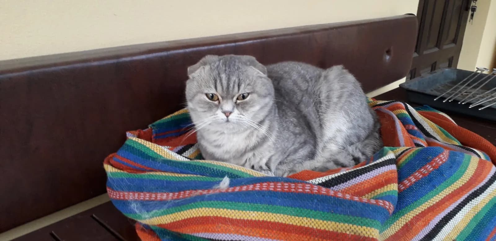 carousel-image-mobile-4