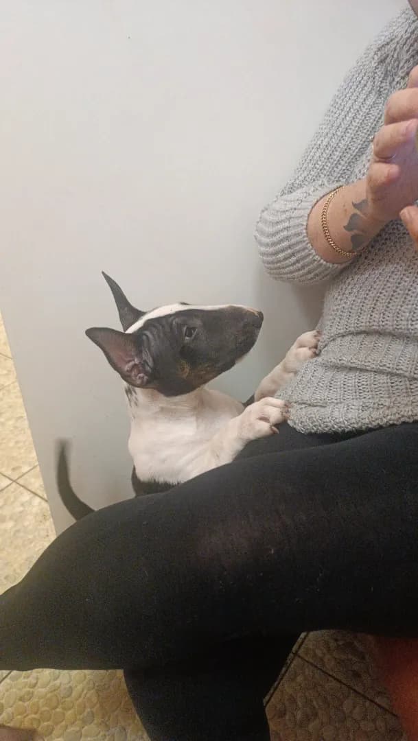 carousel-image-mobile-1