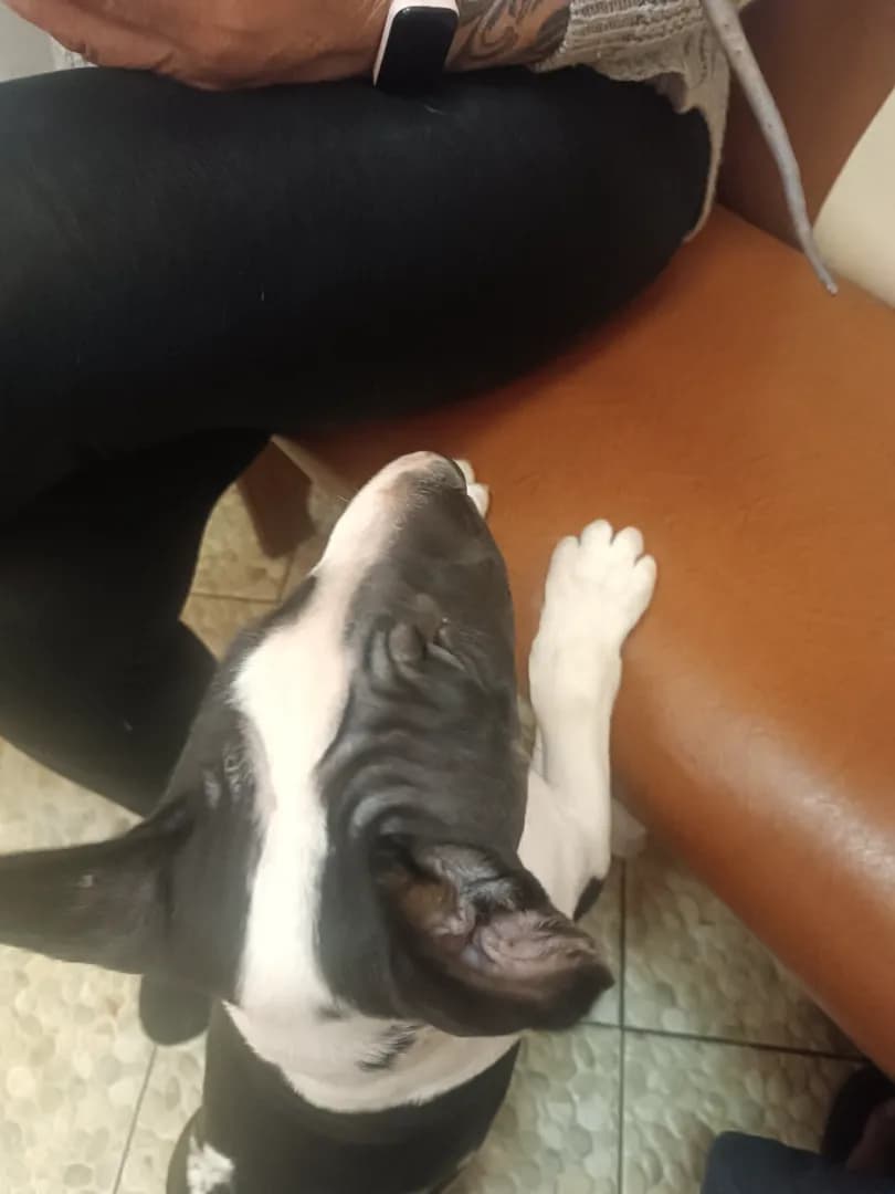 carousel-image-mobile-2