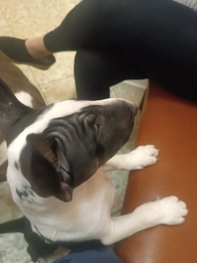 carousel-image-mobile-3